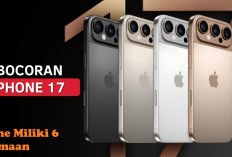 Jangan Ketinggalan Info, iPhone Miliki 6 Kesamaan Mengejutkan, Dijamin Bikin Era 60Hz Tenggelam