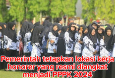 BEDA DENGAN PNS! Pemerintah Tetapkan Lokasi Kerja Honorer Lulus PPPK 2024