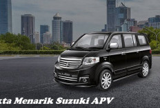 4 Fakta Menarik Suzuki APV, Inilah Bikin Falling In Love!