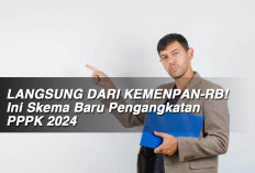 LANGSUNG DARI KEMENPAN-RB! Ini Skema Baru Pengangkatan PPPK 2024 