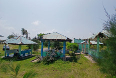 Bupati BS Optimis Kampung Nelayan Merah Putih Segera Terwujud, Potensi Ekspor Ikan Menguat