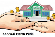 Masyarakat Wajib Tahu, Ternyata Ini Tujuan Sebenarnya Pembentukan Koperasi Merah Putih di Desa/Kelurahan