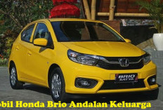 Oh Ternyata Ini Alasannya! Kenapa Mobil Honda Brio Masih Menjadi Andalan Keluarga