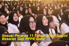 Sesuai Perpres 11 Tahun 2024, Segini Besaran Gaji PPPK Guru 