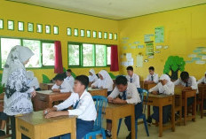 Melek Huruf Tinggi, Minat Baca Rendah, Penggiat Literasi Kaur Ajak Semua Lapisan Berkolaborasi