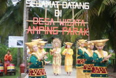 50 Besar ADWI 2024, Ini Potensi Desa Wisata Ampiang Parak Pesisir Selatan