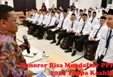 Meski Tak Memiliki Sertifikat Keahlian, Honorer Bisa Mendaftar PPPK 2024?