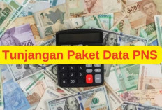 PNS Bakal dapat Tunjangan Paket Data Setiap Bulan, Segini Nominalnya