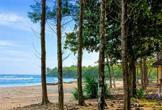 Disurvei KKP, Wayhawang Berpeluang Jadi Kampung Nelayan Pertama di Kecamatan Maje