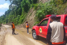 Pastikan Keamanan Pemudik Jelang Libur Nataru, BPBD Cek Sejumlah Titik di Perbatasan Bengkulu Selatan