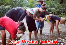 Desa Wisata Pulesari, Hadirkan Pariwisata   Alam hingga Budaya, Ada yang Unik di Sini