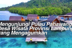 Mengunjungi Pulau Pahawang, Desa Wisata Provinsi Lampung yang Mengagumkan