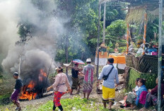 Upacara Ngaben Pasangan Suami Istri di Desa Parda Suka, Sucikan Roh 