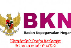 Ricuh Adanya Kebocoran Data ASN, BKN Ingatkan Seluruh PNS dan PPPK Ganti Password 