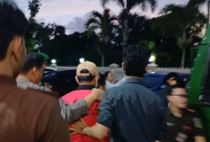 Kasus Hutan Bukit Rabang Simpan Banyak Misteri, Sudah Ada 5 Tersangka, Apakah Kasus Terhenti?