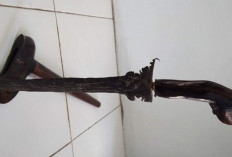 Tiga Daerah di Indonesia Miliki Pusaka Keris Bisa Berdiri