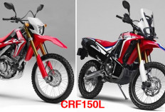 Beda Kelas, CRF150L Terbukti Jauh Lebih Laris Dibanding CRF250 Rally, Ternyata Ini Alasannya