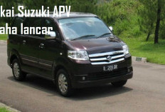 Usaha Anda Lancar Pikirin Jadi Tenang, Pakai Dong Mobil Suzuki APV Arena