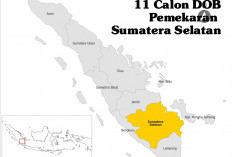 11 Calon DOB Pemekaran Sumatera Selatan, Yuk Cek Nama-namanya di Sini!