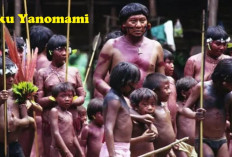 Suku Yanomami Terancam Karena Penebangan Kayu, Simak di Sini Kondiksi Terkininya