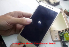 Handphone Xiaomi Tiba-tiba Mati Sendiri, Ini Tips Ampuh Mengatasinya!