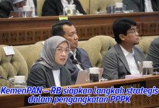 Pengangkatan PPPK hingga Akhir Tahun 2024, KemenPAN-RB Siapkan Langkah Strategis Ini 