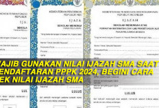 Wajib Gunakan Nilai Ijazah SMA Saat Pendaftaran PPPK 2024, Begini Cara Cek Nilai Ijazah SMA