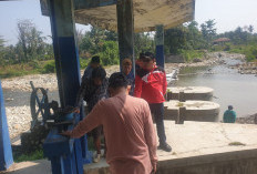 Musim Kemarau Ancam Sawah Gagal Panen, Inilah   Tindakan Terbaru Pemkab Bengkulu Selatan!