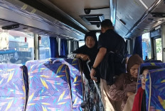 Penumpang Mobil Perintis Bengkulu-Kaur Selama Ramadan Full, Didominasi Perempuan 