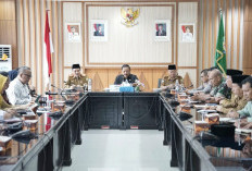 Dorong Ekonomi Daerah, Pemprov Bengkulu Bentuk Tim Percepatan Pertumbuhan