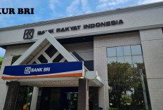 Ternyata Ini Penyebab Pinjaman KUR BRI Secara Online Ditolak! Dokumen Tidak Valid Salah Satu Alasannya!