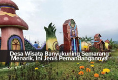 Desa Wisata Banyukuning Semarang Menarik, Ini Jenis Pemandangannya