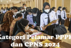 Sebelum Lamar PPPK dan CPNS 2024, Simak 7 Pelamar Bakal Prioritas Diangkat Langsung