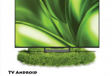 Nonton Sepak Bola Pakai TV Android Pasti Lebih Seru,  Berikut Ini Keunggulannya!