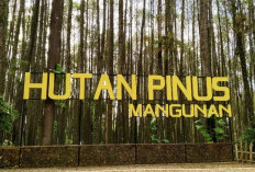 Punya Vibes Pemandangan yang Menakjubkan! Inilah Tempat Wisata Alam yang dijadikan Lokasi Syuting Film Horror