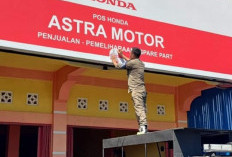 Genjot PAD, Puluhan Reklame di Kaur Dicopot Paksa, Belum Bayar Pajak 