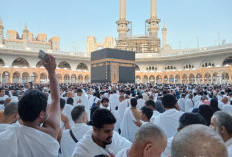 Jemaah Haji Wukuf di Arafah Sabtu 15 Juni 2024, Cek Perjalanan Haji di Sini!