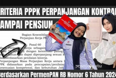 Honorer Lulus Seleksi PPPK 2024 Perhatikan Ini, Agar Masa Kontrak Diperpanjang Sesuai Peraturan MenPAN-RB