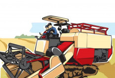 Meskipun Tak Pernah Diwujudkan, Dinas Pertanian   Bengkulu Selatan Gencar Usulkan Bantuan Alsintan