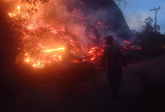 Terjadi Kebakaran Lahan di Muara Sahung,   Warga Sempat Panik, Ini Penyebabnya 