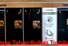 Rahasia Daya Tahan Kulkas Toshiba yang Bikin Anda Yakin Membeli!