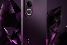HP Vivo Tampil Keren 2025, Laris dan Spesifikasi Mempuni