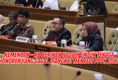 Gagal PPPK 2023, Honorer dapat Hadiah Istimewah dari KemenPAN-RB 