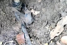 Pembangunan Sumur Bor dan Sambungan Rumah Air Bersih Terkesan Mubazir, Warga Heran: Kok Lolos dari Audit 