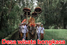 Desa Wisata Bongkasa, Indahnya Alam dan Budaya Bali