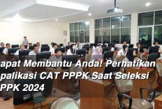 Dapat Membantu Anda! Perhatikan Aplikasi CAT PPPK Saat Seleksi PPPK 2024 