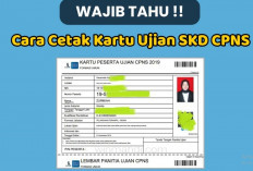 JANGAN SALAH! Begini Cara Cetak Kartu Ujian CPNS 2024 