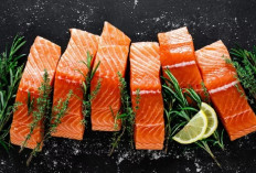 Penting untuk Diketahui Manfaat Ikan Salmon Bagi Kesehatan Tubuh