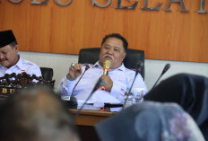 Sawit Dinilai Picu Kerusakan DAS dan Ancam Banjir, Bupati Bengkulu Selatan Usulkan Gerakan Tanam Bambu