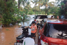 3 Kali Ganti Bupati, Masalah Jalan Banjir di Desa Ini Belum Juga Teratasi! 